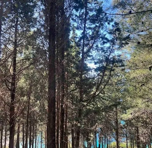 Stamatoula Casa de Férias *